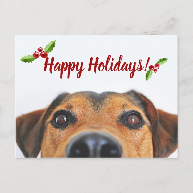 Pet Holiday Photo (Front)