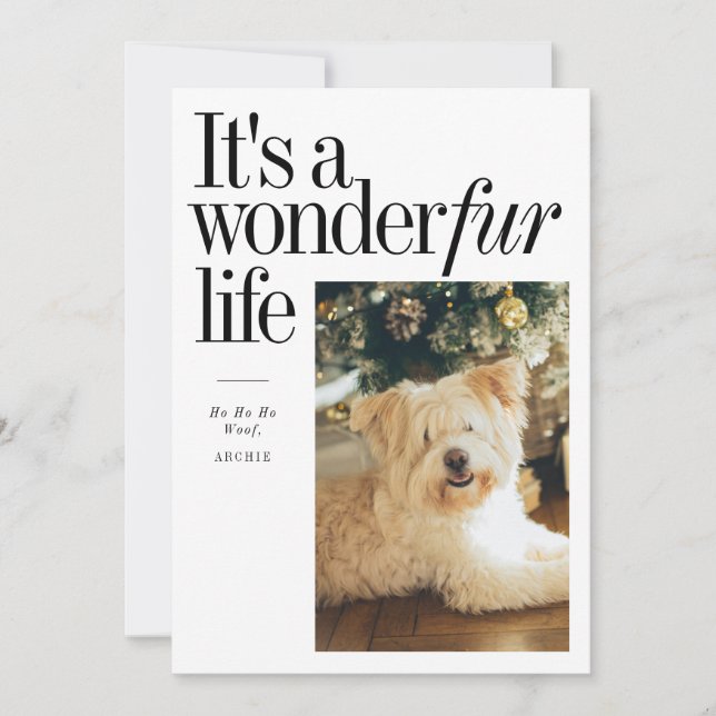 Pet Holiday Photo Card Funny ‘Wonderfur Life’ (Front)