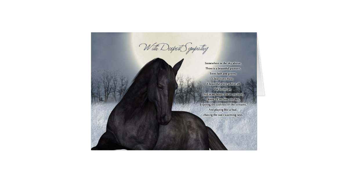 Pet Horse Sympathy Card, Loss Of Pet Horse Card | Zazzle