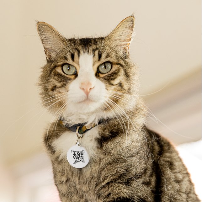 Pet ID Tag | If Lost QR Code Scan (Creator Uploaded)
