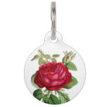 Pet Identification Red Rose Flower  Pet Id Tag at Zazzle