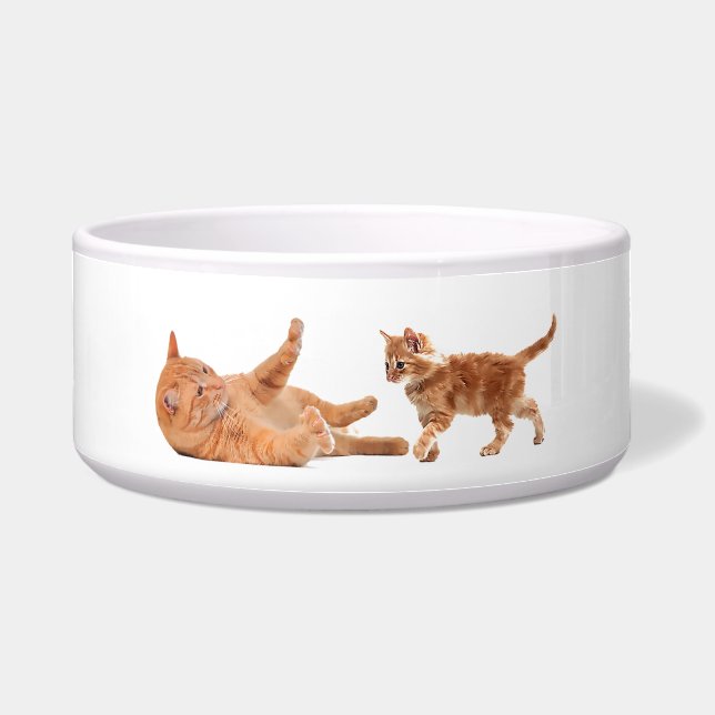 Pet image for Large-Pet-Bowl Bowl (Front)