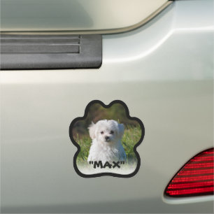 Pet image Paw shaped border text Car Magnet