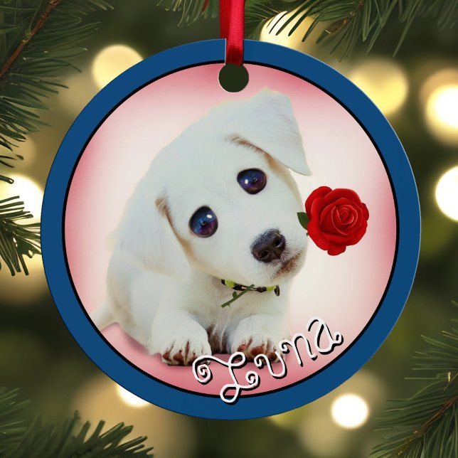 Pet Keepsake 2 Photos & Names Holiday Dog Cat Bird Metal Ornament (Pet keepsake Christmas ornament  with 2 Photos & Names, Holiday Dog Cat or Bird Metal Blue Border)