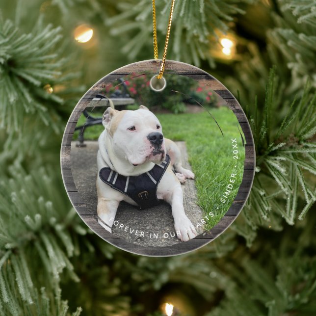 Pet Keepsake Circular Grunge 2 Photo Ceramic Ornament (Tree)