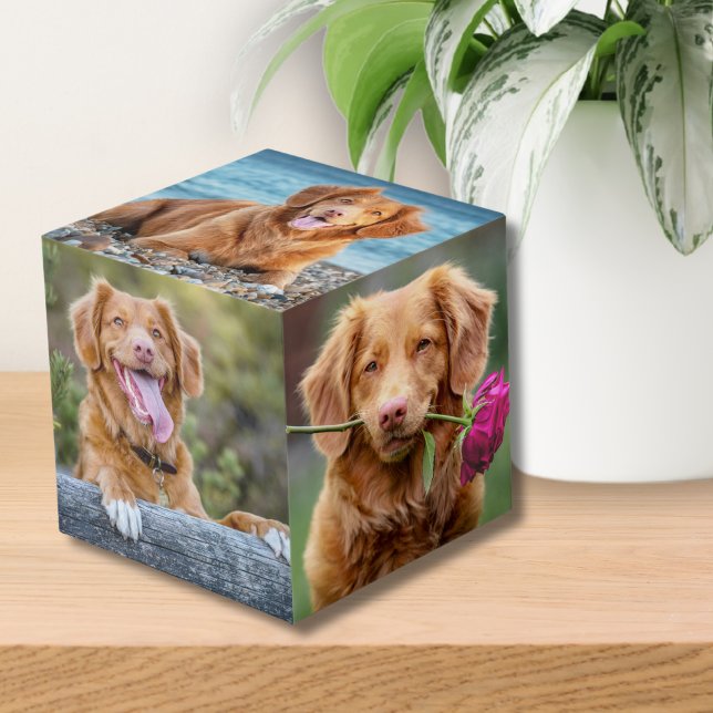 Pet Keepsake Dog Photo Cube (Pet Keepsake Puppy Dog Photo cube)