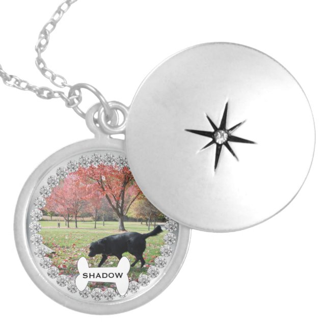 Pet Keepsake Gift Photo Name Faux Diamonds Locket Necklace (Front)