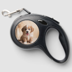 Pet Leash