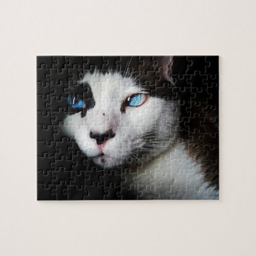 Pet Life  Black White Siamese Cat Blue Eyes Photo Jigsaw Puzzle