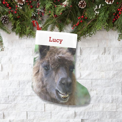 Pet Llama Lover Owner Photo  Name Personalized Small Christmas Stocking