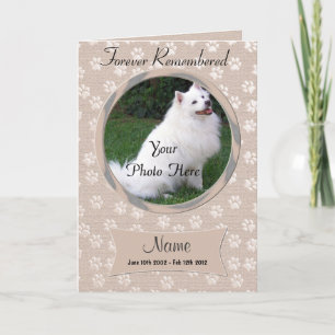 Pet Loss Dog or Cat Memorial Announcement