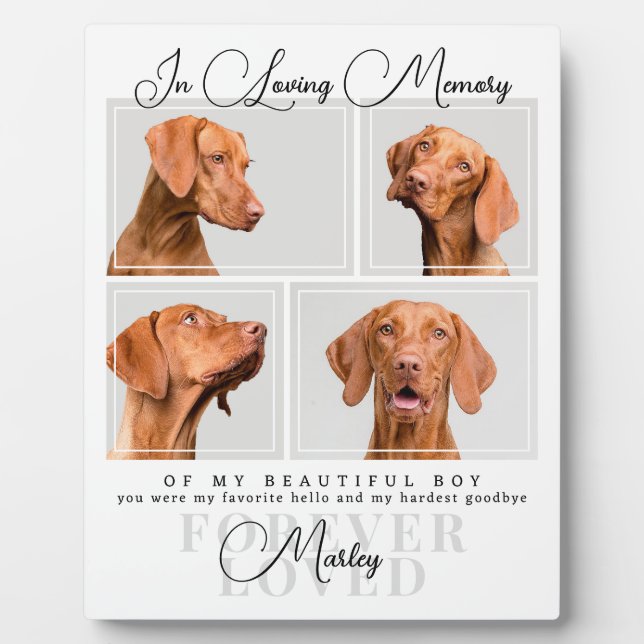 Pet Loss Gift Dog Cat Memorial Photo Collage White Plaque (Front)