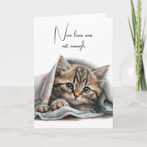 Pet Loss Kitty In a Blanket