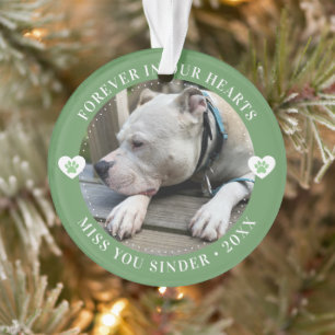 Pet Loss Memorial Keepsake Photo Modern Ornament