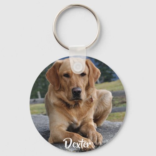 Pet Loss Memorial Photo Keepsake Quote Sympathy Keychain