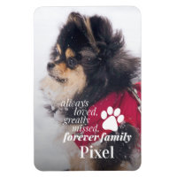 Pet Loss Memorial Sympathy Photo