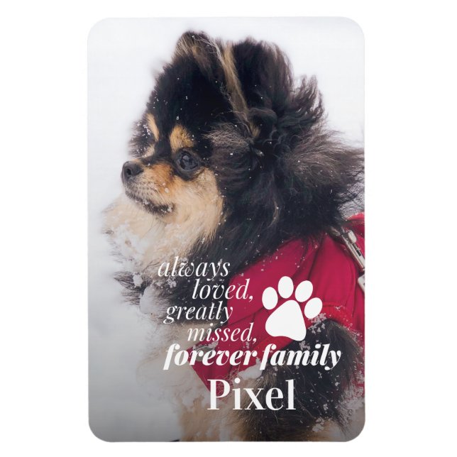 Pet Loss Memorial Sympathy Photo  Magnet (Vertical)