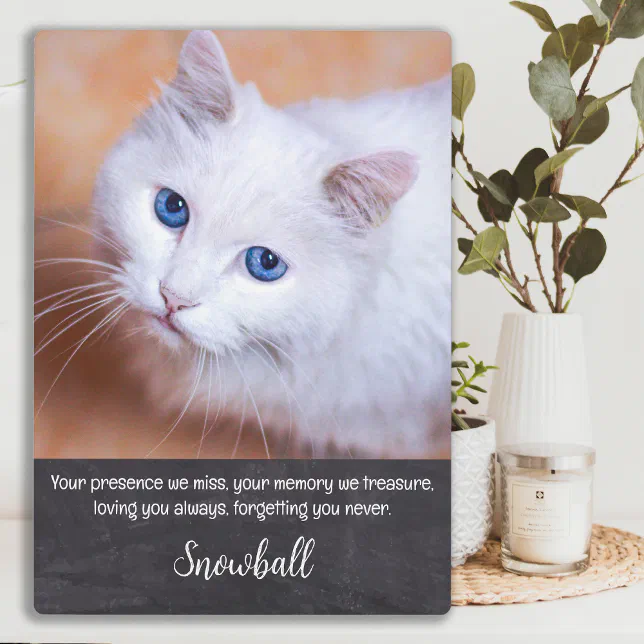 Pet Loss Quote Sympathy Keepsake Cat Memorial Plaque | Zazzle