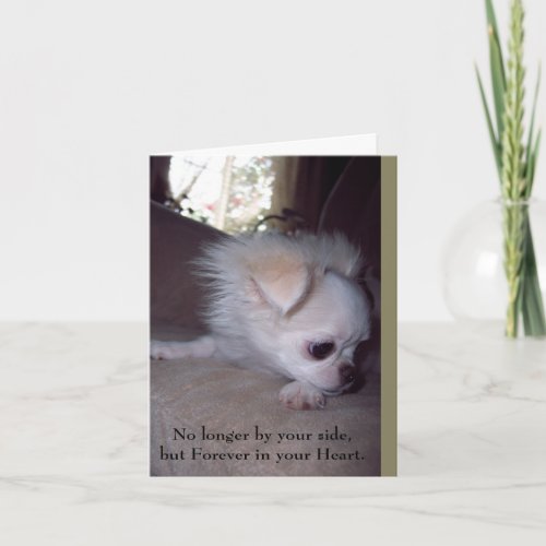 Pet Loss Sympathy Card for Dogs