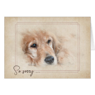 Pet Loss Sympathy Golden Retriever Cards