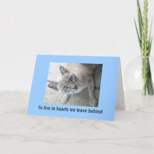 Pet Loss Sympathy: Loss of Cat Greeting Cards