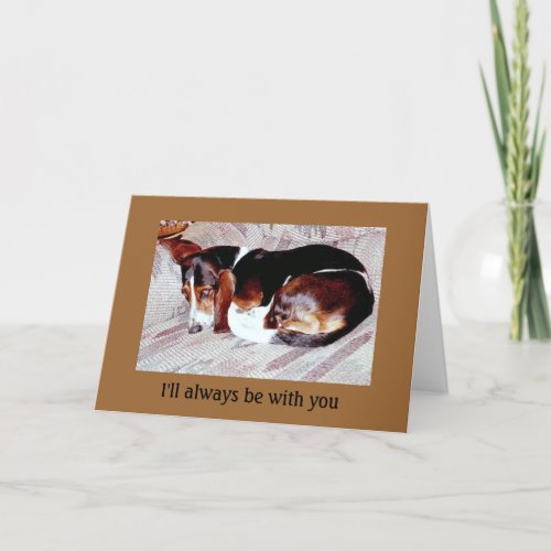 Pet Loss Sympathy Loss of Dog Greeting Cards