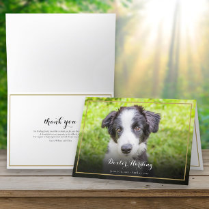 Pet Loss Sympathy Photo Elegant Gold Letterpress Thank You Card