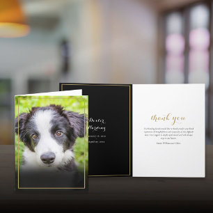 Pet Loss Sympathy Photo Gold Frame Letterpress Thank You Card