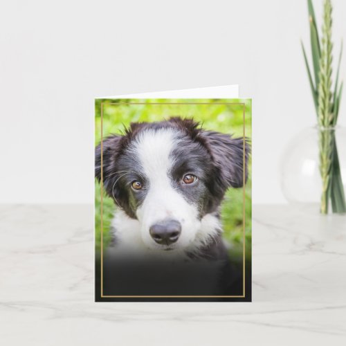 Pet Loss Sympathy Photo Gold Frame Thank You Card