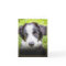 Pet Loss Sympathy Photo Gold Frame