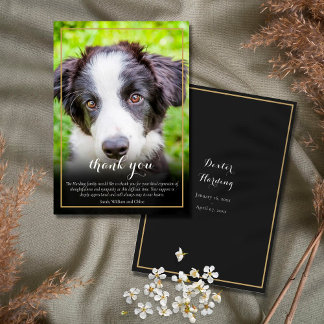 Pet Loss Sympathy Photo Thank You Card