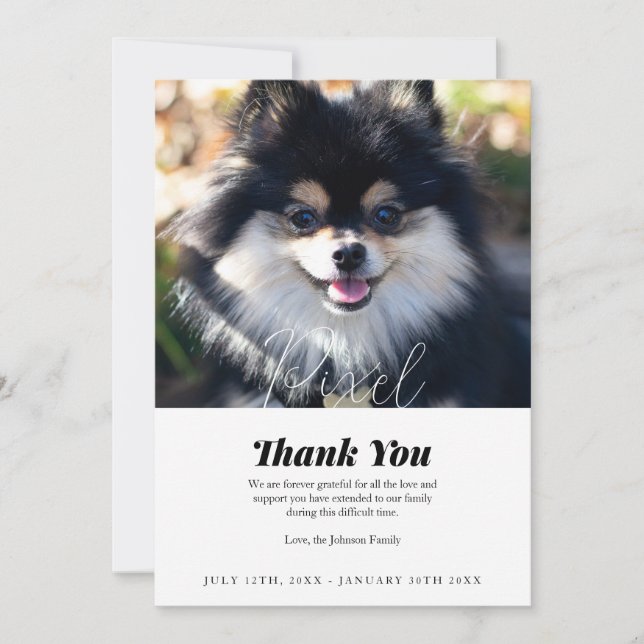 Pet Loss Thank You Sympathy Card (Front)
