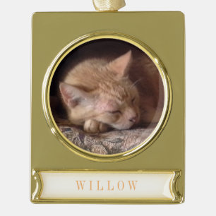 PET LOVE Banner Ornament / Gold