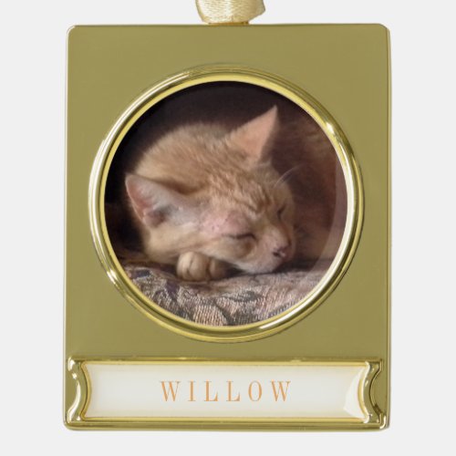 PET LOVE Banner Ornament  Gold