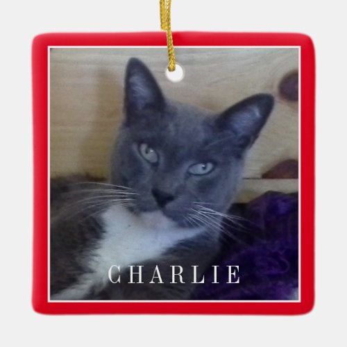 PET LOVE Ceramic Square Ornament  Red