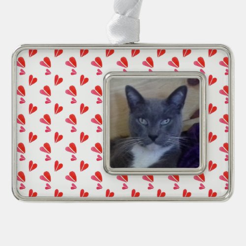 PET LOVE Framed Horizontal Ornament  Hearts