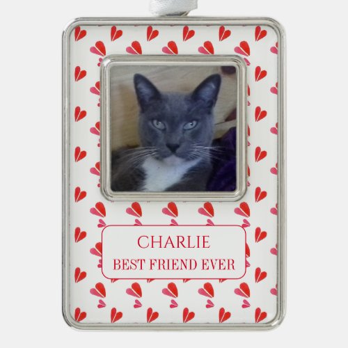 PET LOVE Framed Vert Ornament  Text  Hearts