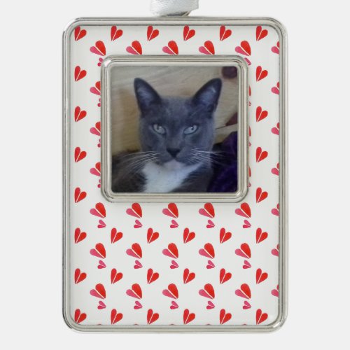 PET LOVE Framed Vertical Ornament  Hearts