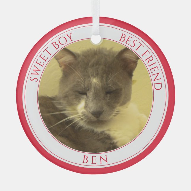 PET LOVE Glass Circle Ornament + Text / Red (Front)