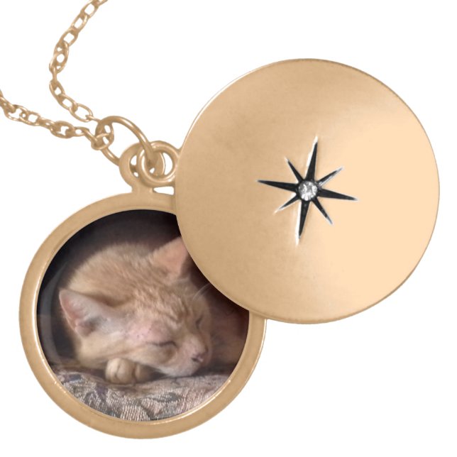 PET LOVE Gold Plated Round Locket (Front)