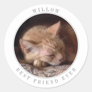 PET LOVE Large Round Envelope Seals