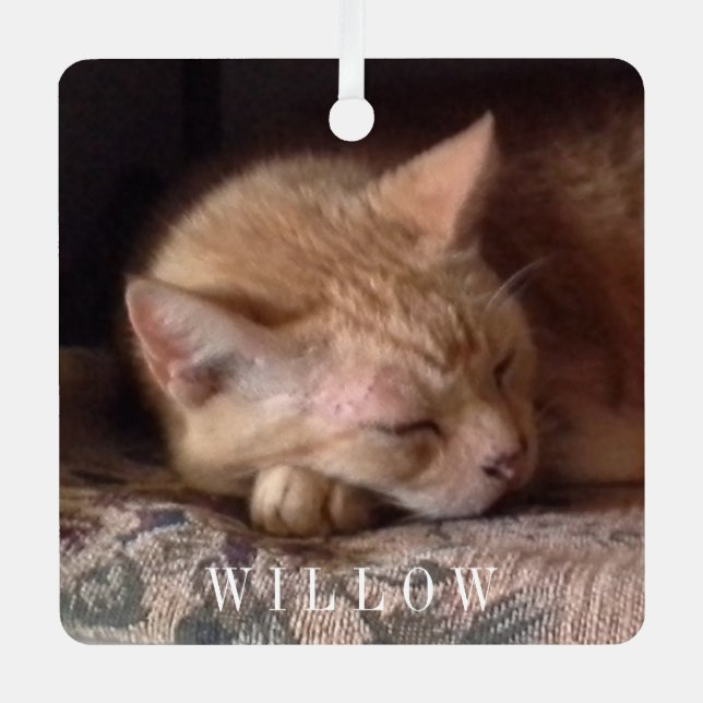 PET LOVE Metal Square Ornament  (Front)