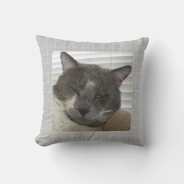 PET LOVE Pet Photo Throw Pillow / Gray (Front)