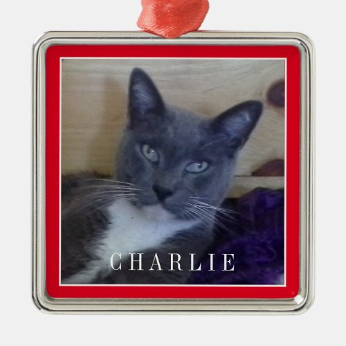 PET LOVE Premium Square Ornament _ Red