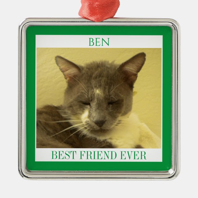 PET LOVE Premium Square Ornament + Text / Green (Front)