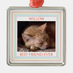 PET LOVE Premium Square Ornament + Text / Rainbow