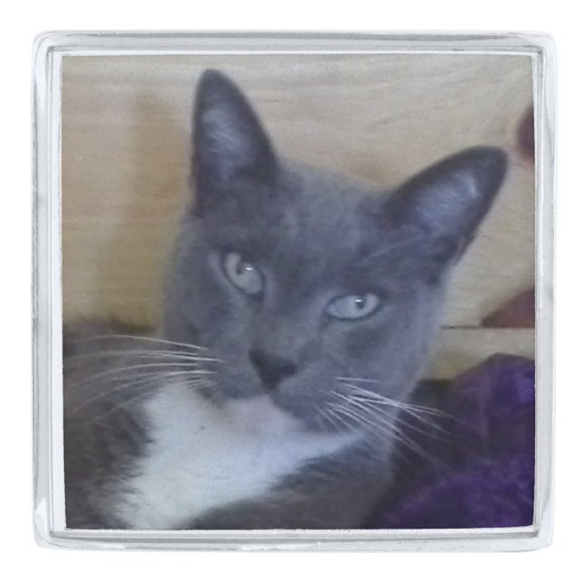 PET LOVE Square Lapel Pin (Front)