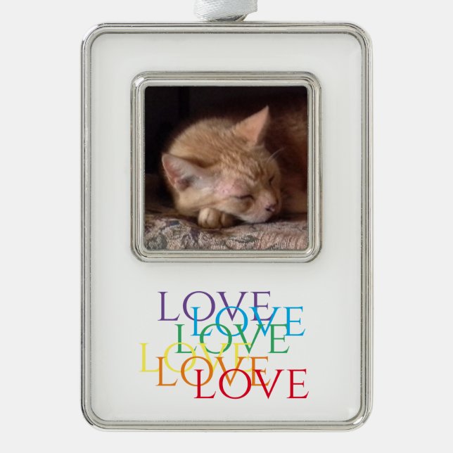 PET LOVE Vertical Framed Photo Ornament (Front)