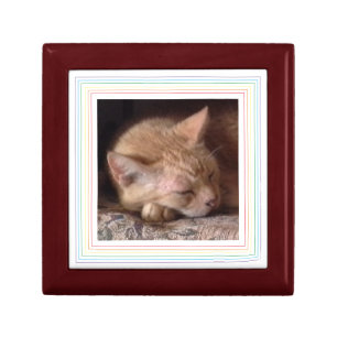 PET LOVE Wooden Keepsake Box / Rainbow