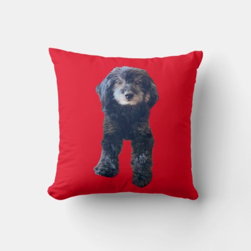Pet Loved Beyond Words Round Pillow